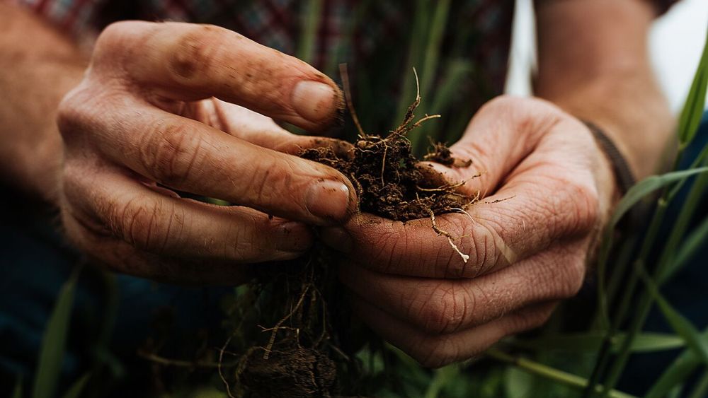 Wrangler and MyFarms Talk ‘Field-Level’ Sustainability in New Report