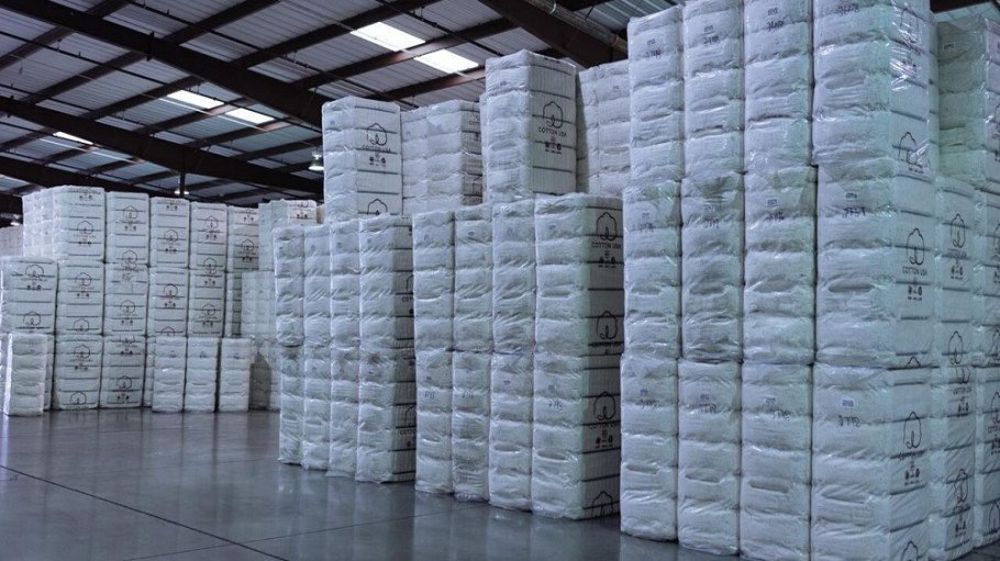 cotton