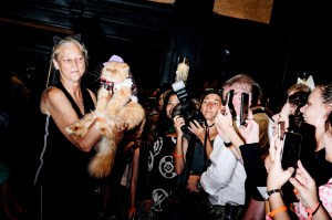 The scene at the Cat Fashion Show.