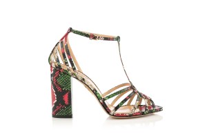 Charlotte Olympia Resort 2019