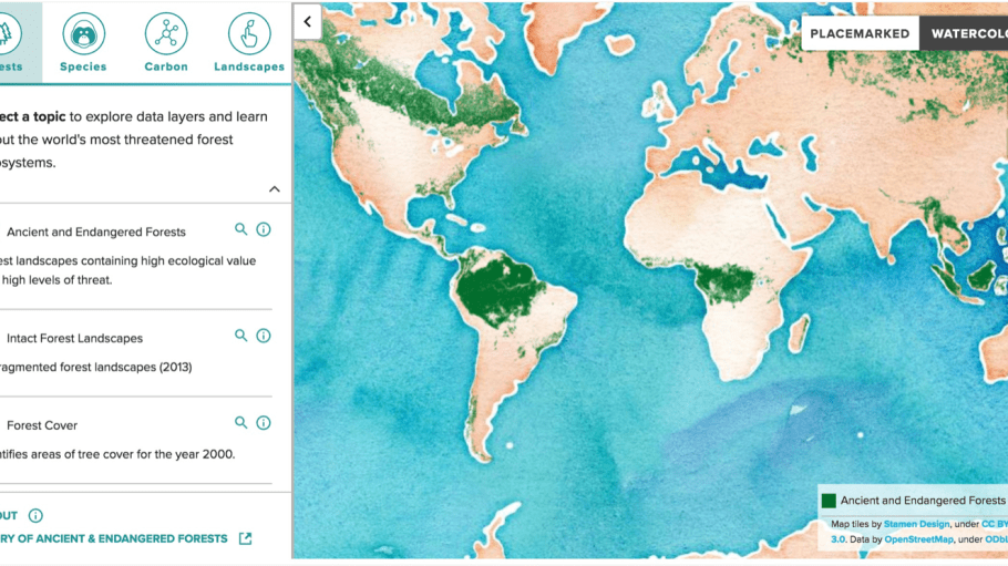 Canopy ForestMapper