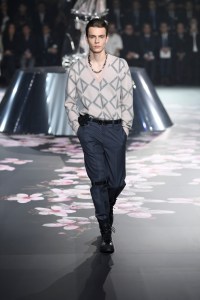 Dior Men's Pre-Fall 2019