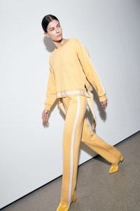 Sally LaPointe Pre-Fall 2019