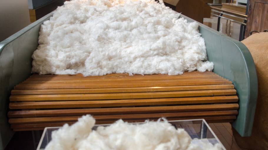 Fukushima's Cotton Fields are Reviving a Fallow Japanese Industry