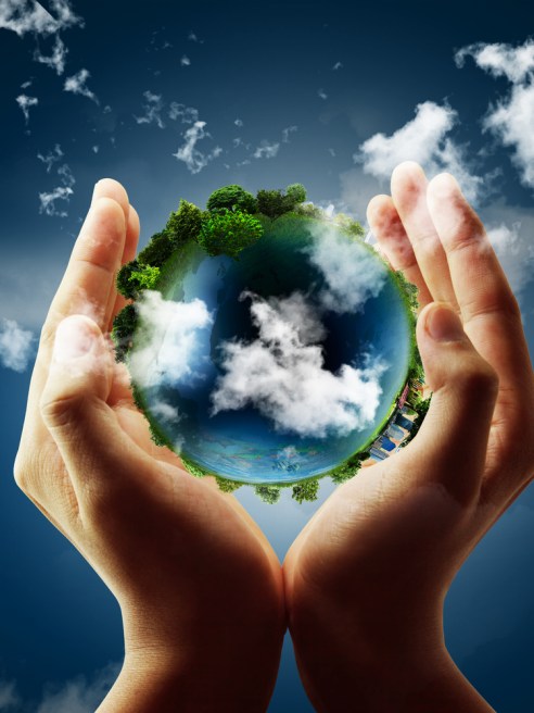 sustainability