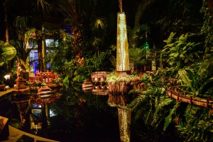 The scene at theNew York Botanical Garden.