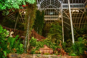 The scene at theNew York Botanical Garden.
