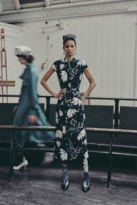 Erdem Pre-Fall 2019