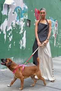 Monse Pre-Fall 2019