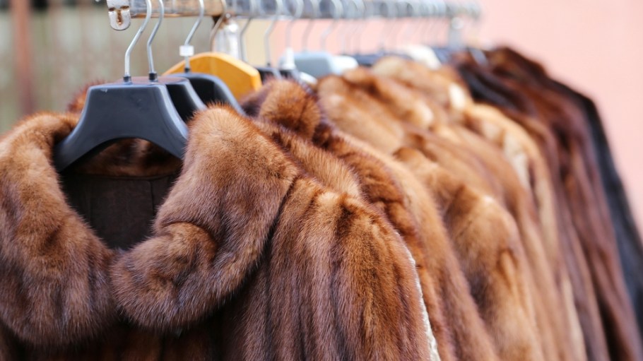 Is Animal Fur Losing Its Luxury Luster?