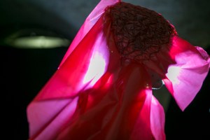 Backstage at Craig Green Men's Fall 2019