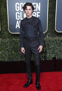 Timothee Chalamet in Louis Vuitton, Golden Globes 2019