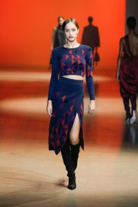 Cushnie RTW Fall 2019