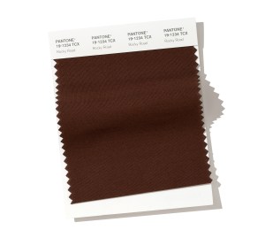 PANTONE 19-1234 Rocky Road