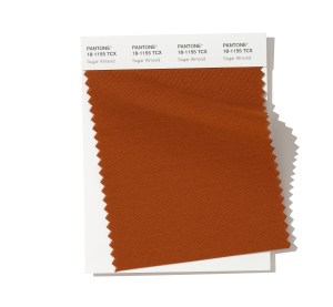 PANTONE 18-1155 Sugar Almond