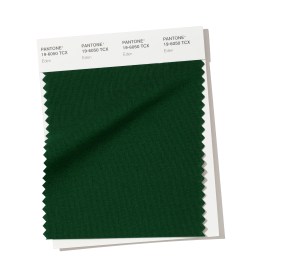 PANTONE 19-6050 Eden