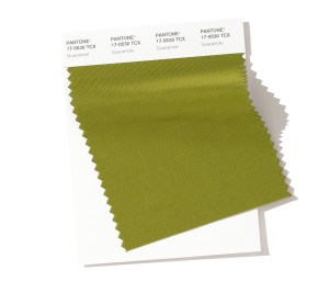 PANTONE 17-0530 Guacamole