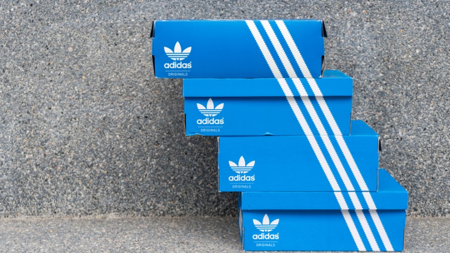 Adidas said troubles in its North American apparel supply chain will impact growth in 2019.