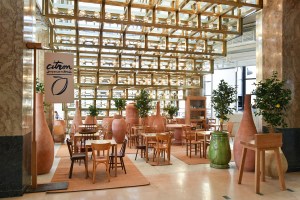 The Citron café designed by Simon Porte Jacquemus with Caviar Kaspia.
