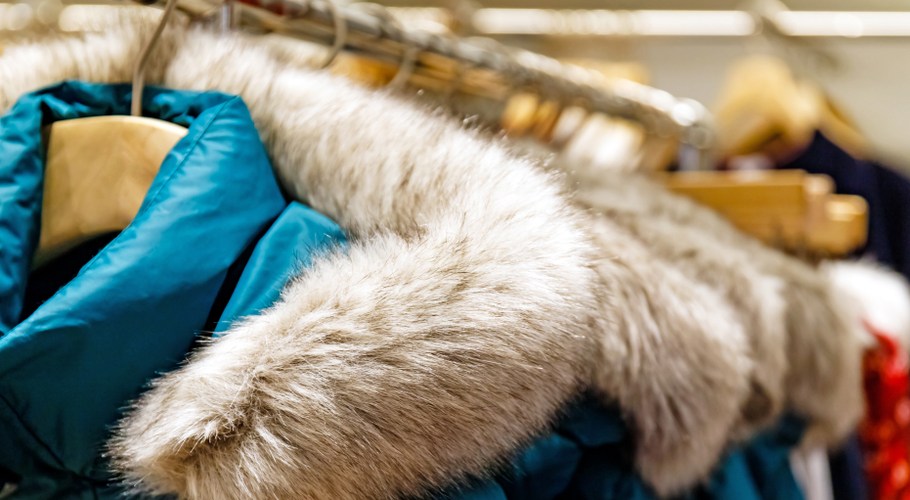 California Assembly Approves State-Wide Fur Ban