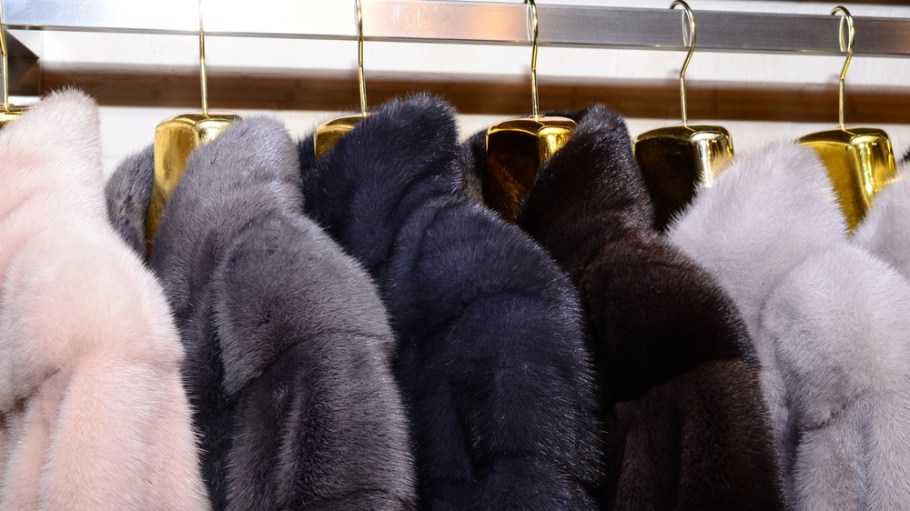 Activists Accused of Staging Live Skinning on Anti-Fur Viral Video