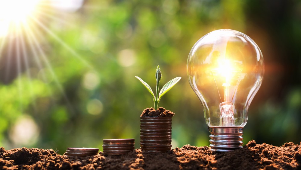 Companies are staring to do more to measure their impact on the environment.