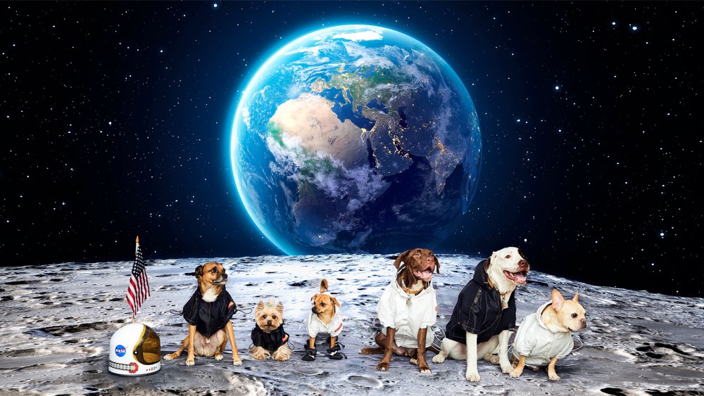 Very Important Puppies Unveils Its Latest Collaboration