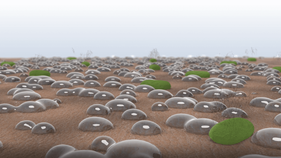 sweat beads on skin, magnified