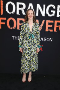 Maria Dizzia
'Orange Is The New Black' TV show final season premiere, Arrivals, Alice Tully Hall, New York, USA - 25 Jul 2019