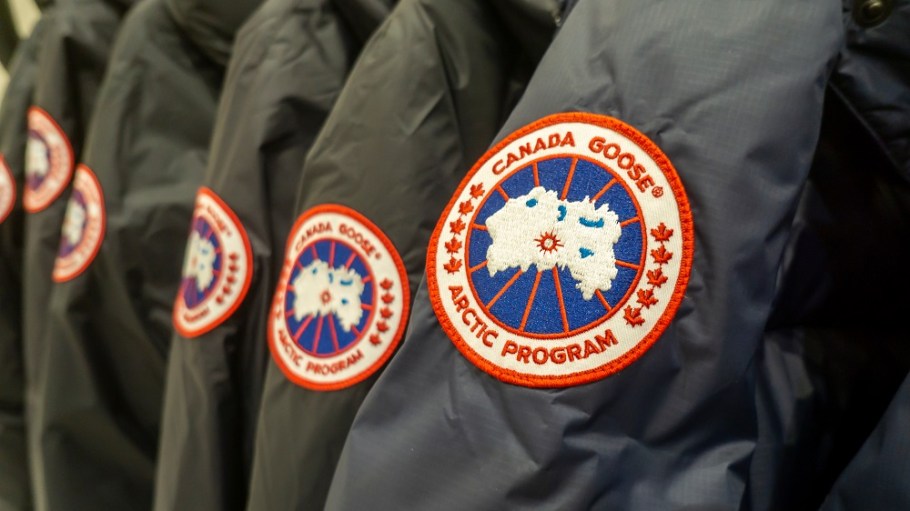 Canada Goose
