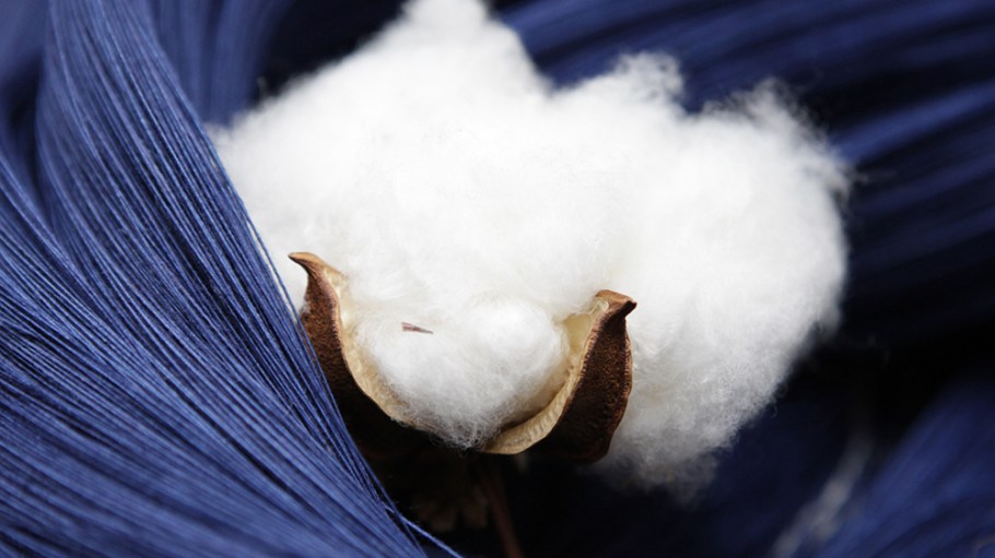 A growing number of innovators is outraged at the throw-away society in which live and taking steps to move fashion sustainability forward.