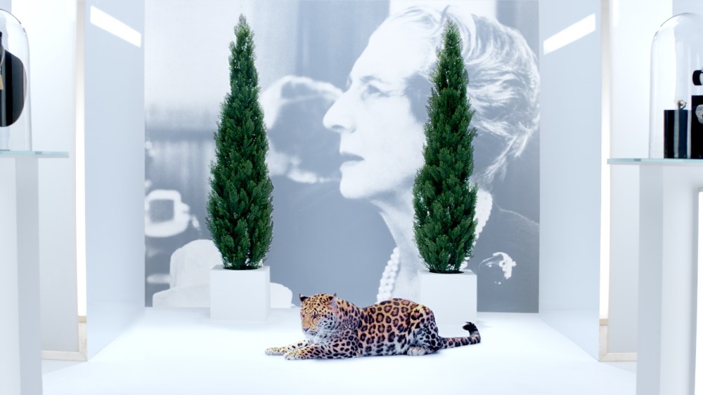 Cartier campaign image