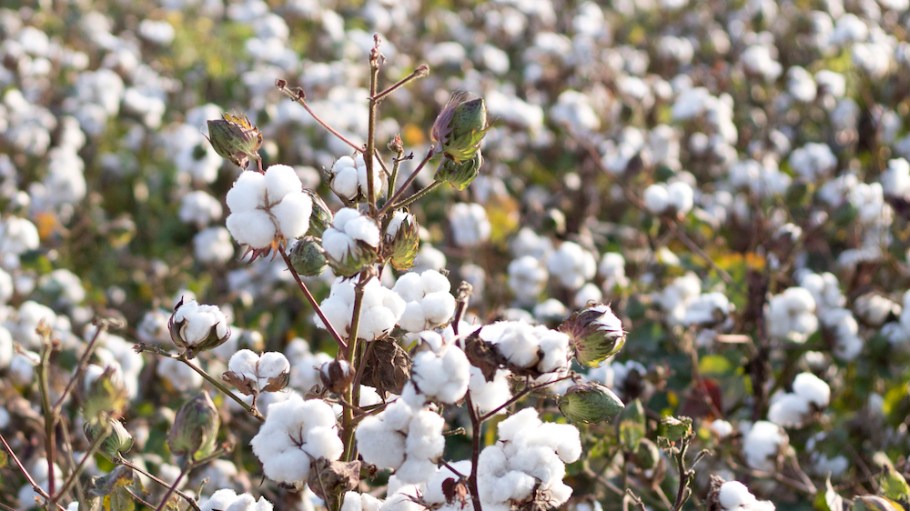 Impact Tech Venture OpenSC Raises $4 Million in Seed Funding to better track commodity supply chains