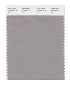 Ash 16-3802