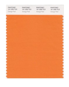 Orange Peel 16-1359
