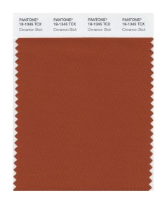 Cinnamon Stick 18-1345