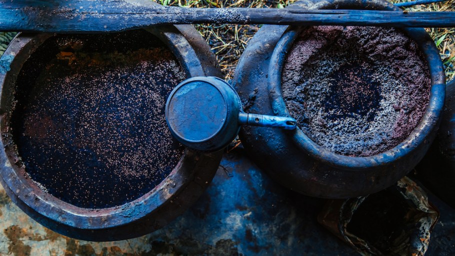 Tinctorium aims to bypass the chemical hazards that come with indigo production and create a more sustainable and eco-friendly alternative.