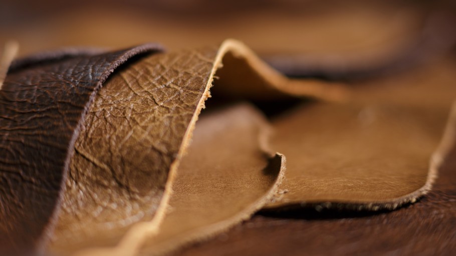 Applied DNA Sciences has announced the results of a successful research project in which it was able to trace leather products using DNA.