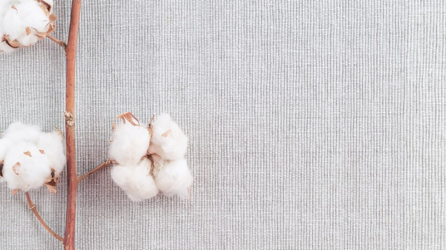 Organic cotton.