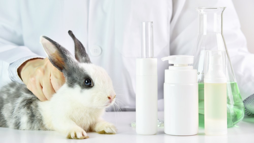 animal testing