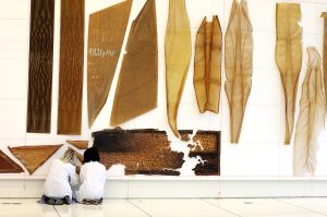 "Neri Oxman: Material Ecology" at MoMA