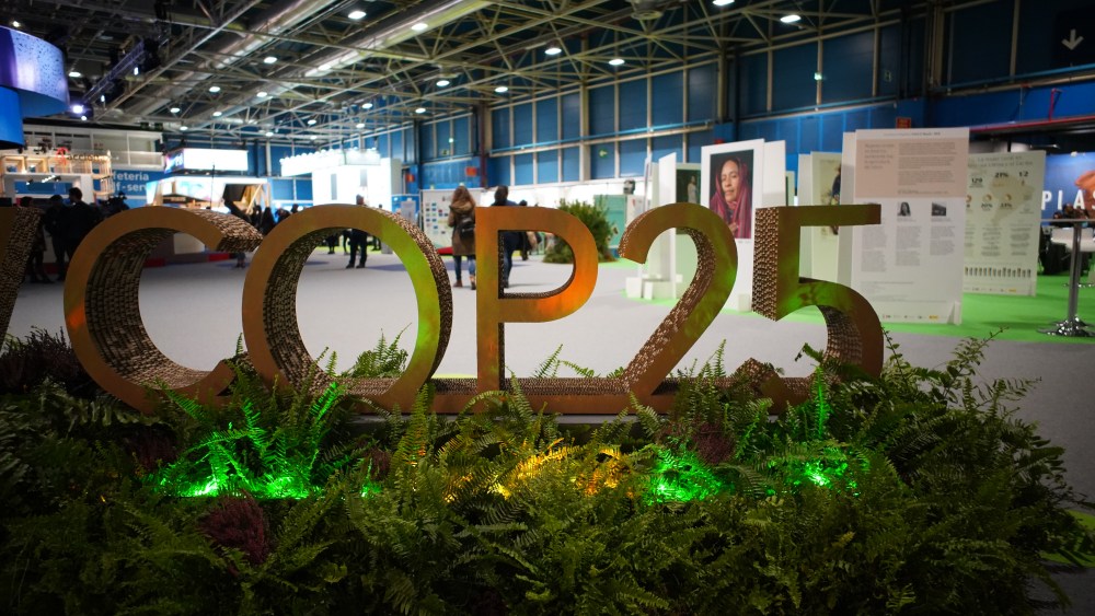 COP25, United Nations