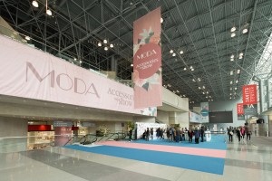 Fame and Moda