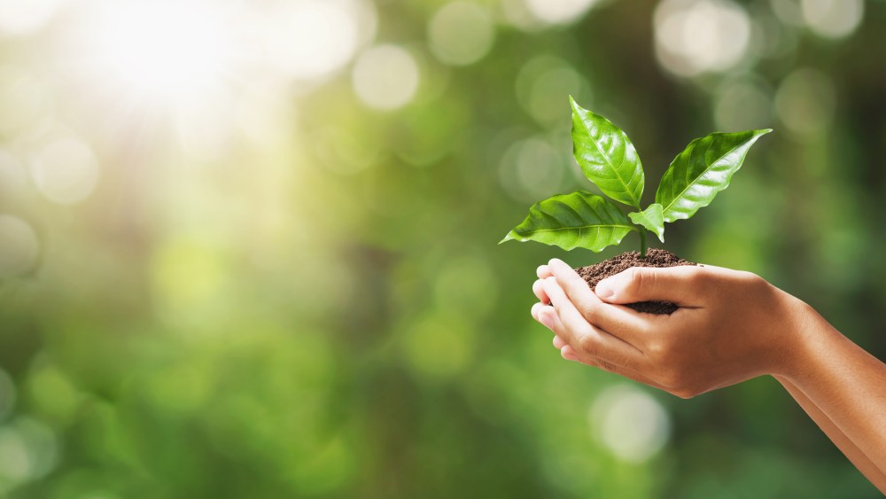 Sustainabilty