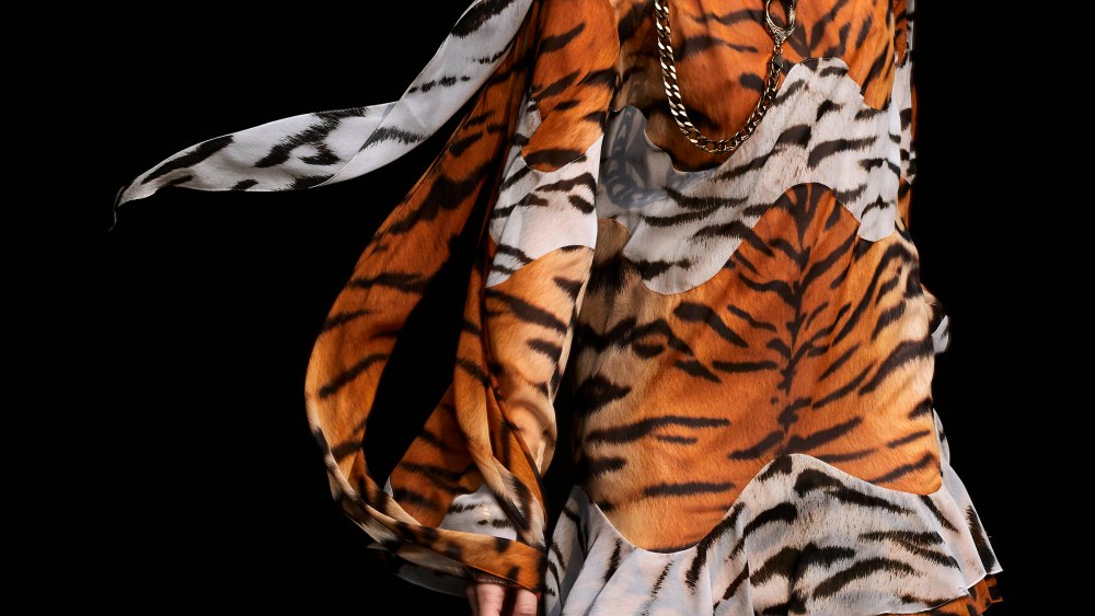 Roberto Cavalli RTW Fall 2020