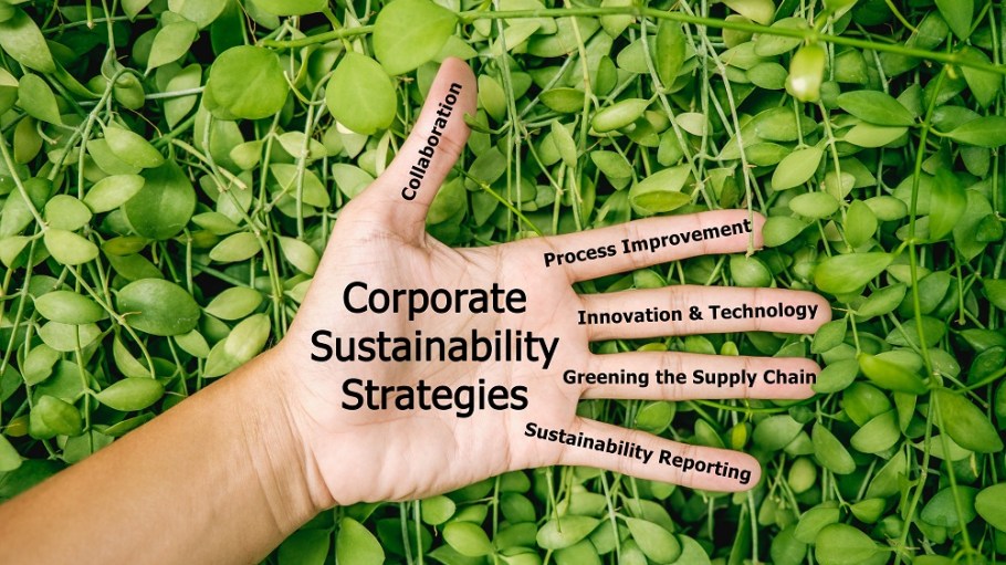 Bain & Company has made a minority investment in EcoVadis, a provider of business sustainability ratings for global supply chains.