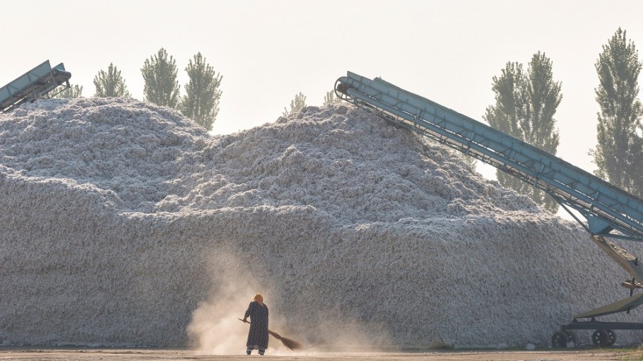Moving closer to eradicating forced labor in cotton cultivation, Uzbekistan President Shavkat Mirziyoyev ordered an end to state quotas.