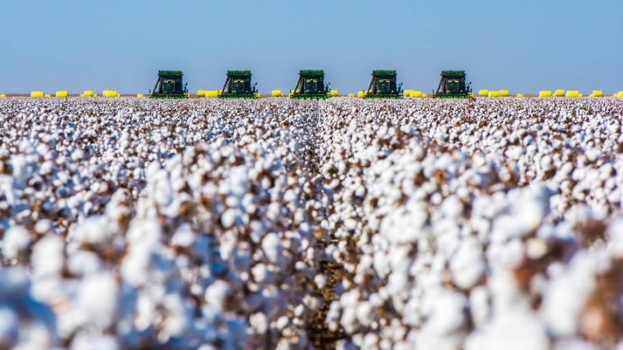 Depressed cotton prices could go even lower if demand bottoms out from coronavirus disruptions and the U.S.-China trade dispute flares up.