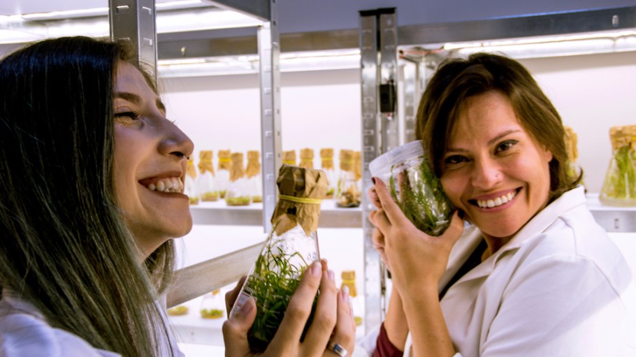 The H&M Foundation's Global Change Awards 2020 winners and fashion innovators include lab-grown cotton and polyester made from air.