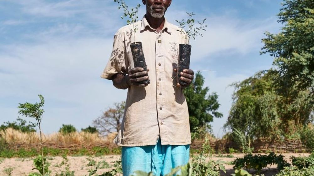 Outdoor shoe brand Oboz Footwear hopes its Tabora Forest Garden Project will plant 500 million trees by 2025, despite coronavirus impacts.